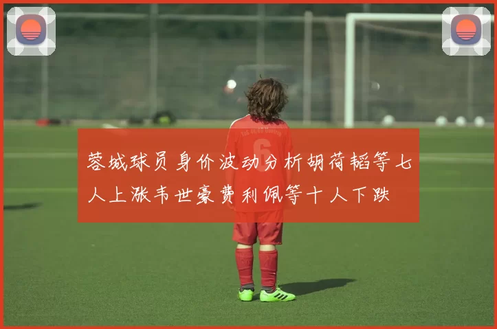 蓉城球员身价波动分析胡荷韬等七人上涨韦世豪费利佩等十人下跌